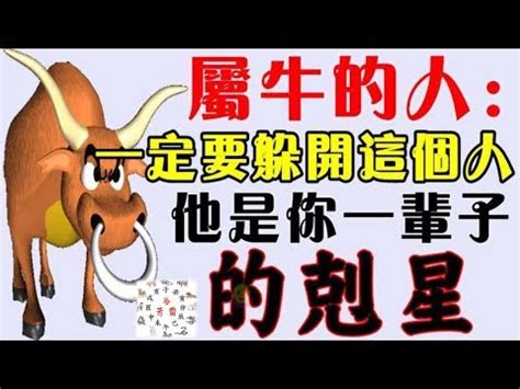 五行生肖配對|生肖配對 